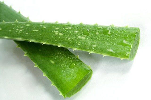 Airconcept Aloe & Cucumber helyiségillatosító