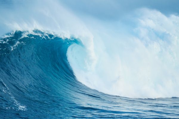 wave tengeri illat